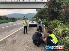 好危险 巴达高速上一小车疯狂逆行被截停